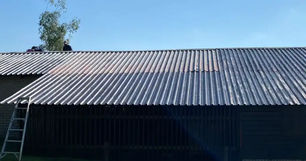 Rustic metal roof on a rural building with a ladder nearby.